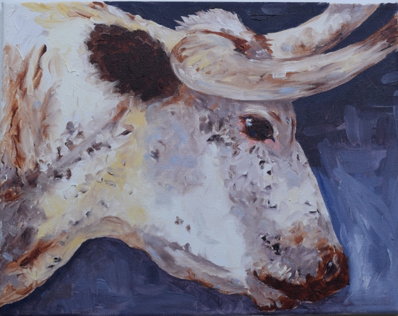 slow and steady by artist Andrea L. Wolf